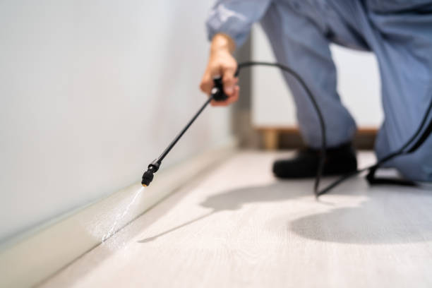 Rodent Entry Point Assessment in Pell City