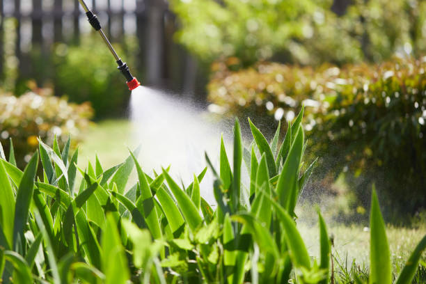 Tamper-Resistant Bait Stations for Rodents in Pell City