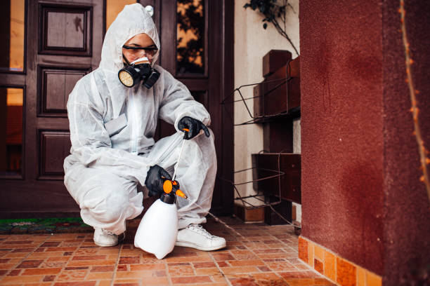 Attic and Crawl Space Rodent Treatment in Pell City